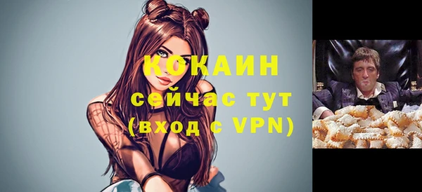 шишки Куйбышев